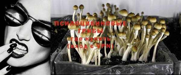 PSILOCYBIN Балабаново