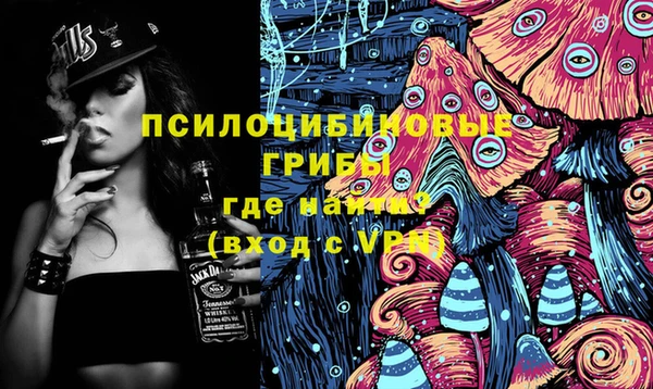 PSILOCYBIN Балабаново